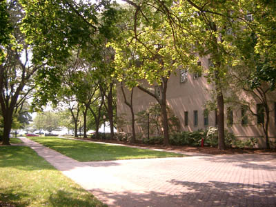 MIT 38