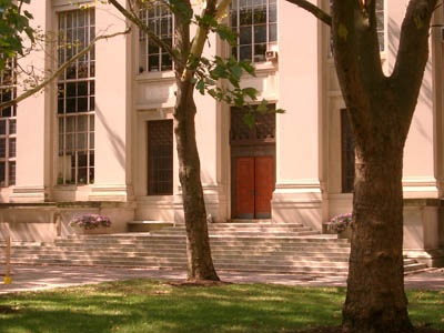 MIT 43