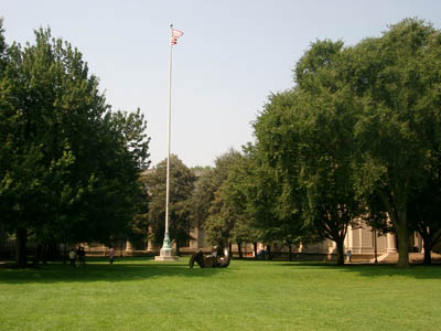 MIT 51