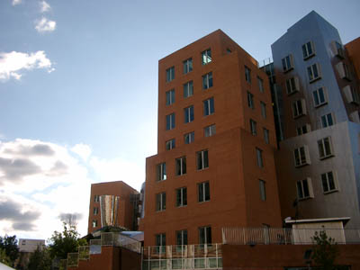 MIT 81