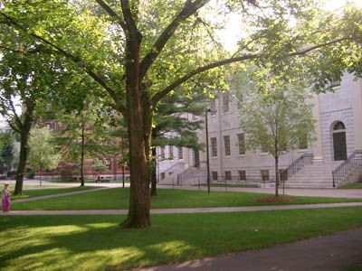 Havard & Cambride (280804) 07