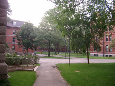 Havard & Cambride (280804) 10