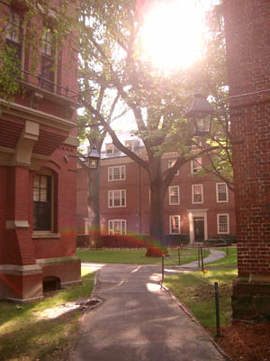 Havard & Cambride (280804) 21