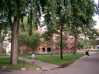 Havard & Cambride (280804) 25