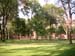 Havard & Cambride (280804) 17