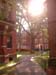 Havard & Cambride (280804) 21