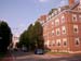 Havard & Cambride (280804) 31