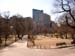Rundgang durch Boston 12