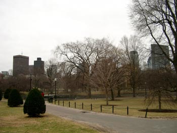 Boston Common + Back Bay 08