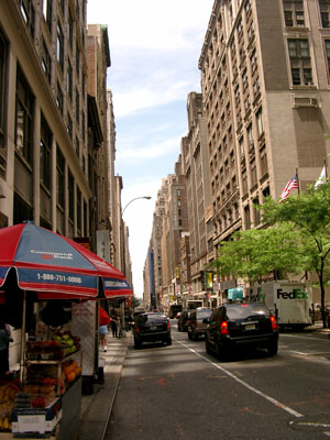 NY 5th Avenue (040604) 1