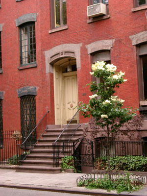 NY Greenwich + SoHo (050604) 06