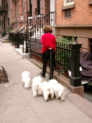 NY Greenwich + SoHo (050604) 07