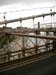 NY Brooklyn Bridge (060604) 14