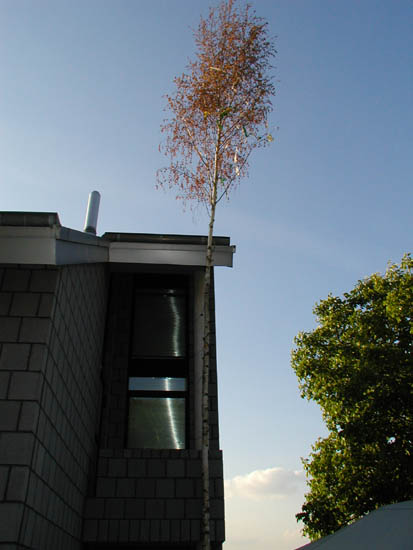 P5310009