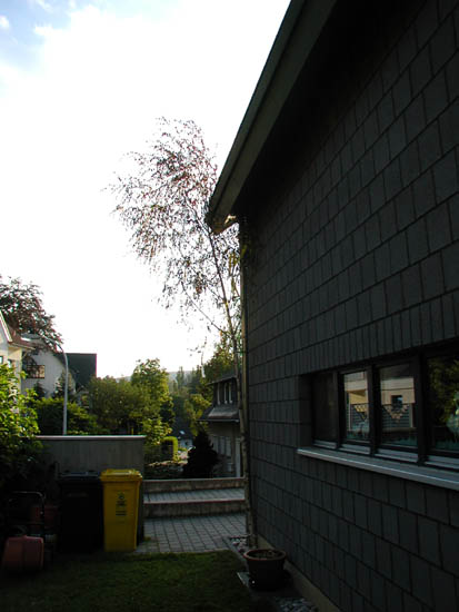 P5310011