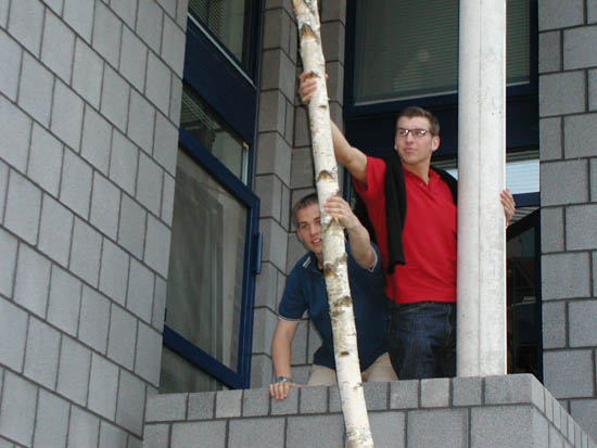P5310035