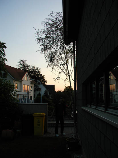 P5310042