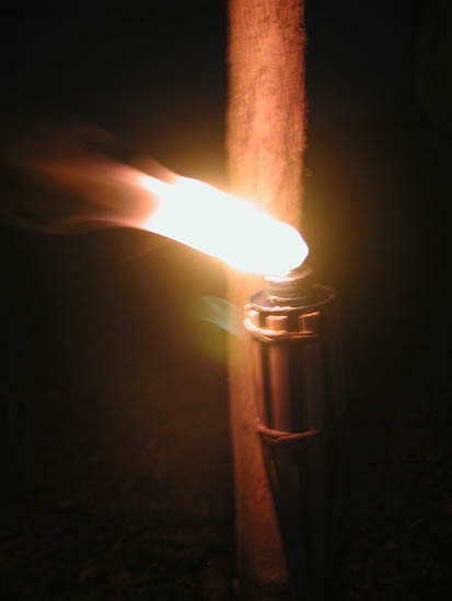 P5310095